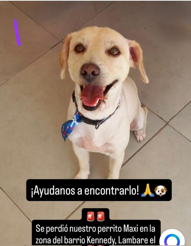 Atención barrio Kennedy de Lambare  si le viste por favor avisa a su Familia.  Se agradece compartir