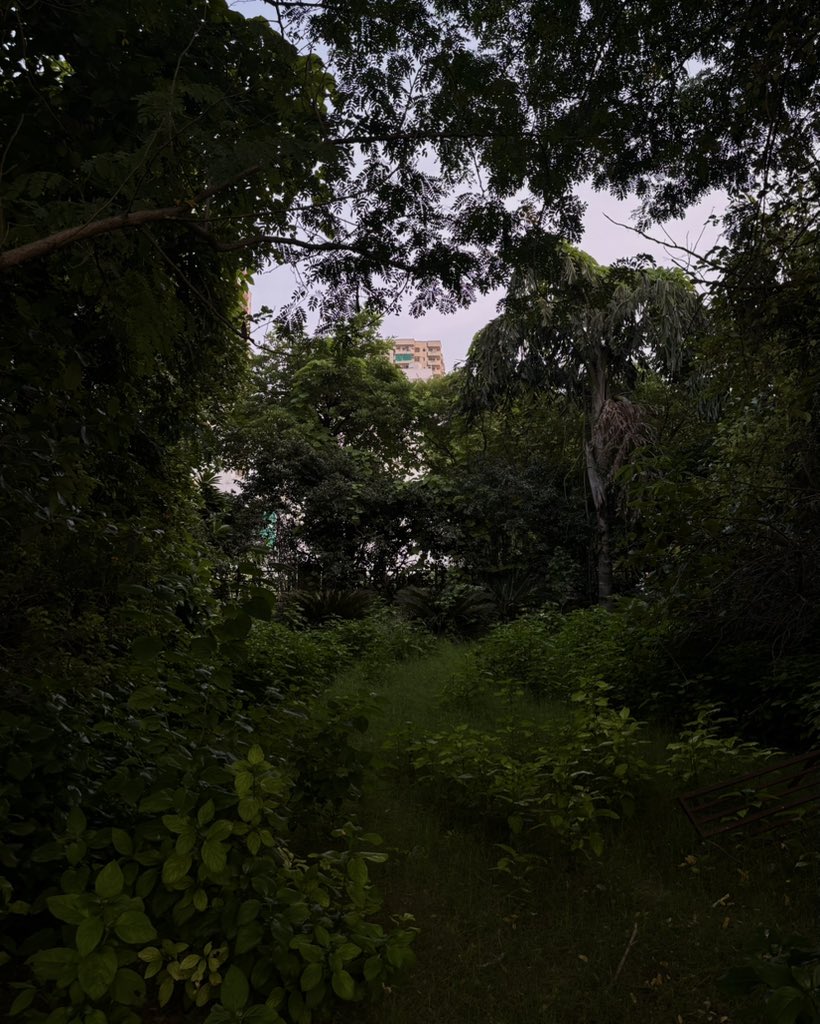 zeeaurav's tweet image. green summer