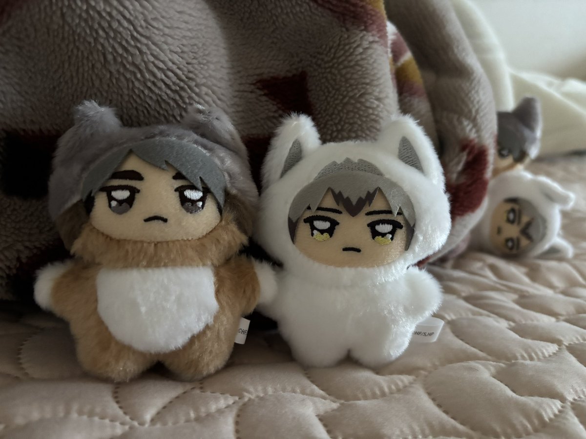 mogmogbanana92's tweet image. ちみきたさんとちみさむくん(2体目)、来ました〜🫶🫶
…なんやおれらとおんなじやつらがきたで…と背後で初代ちみきたさんたちが覗いています…
