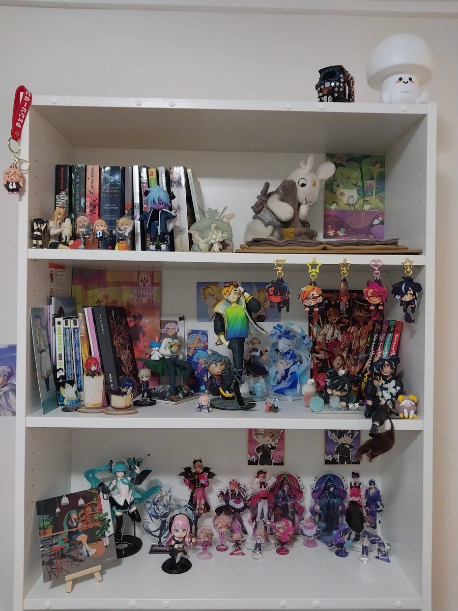 ShootnStarrfish's tweet photo. i have finally acquired a bookshelf upon which i can place my things #mythings https://t.co/f2BS7Xeyka