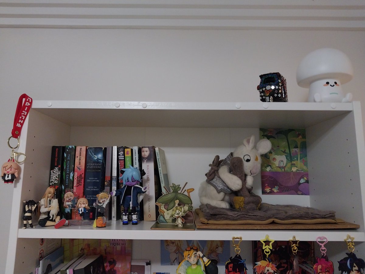 ShootnStarrfish's tweet photo. i have finally acquired a bookshelf upon which i can place my things #mythings https://t.co/f2BS7Xeyka