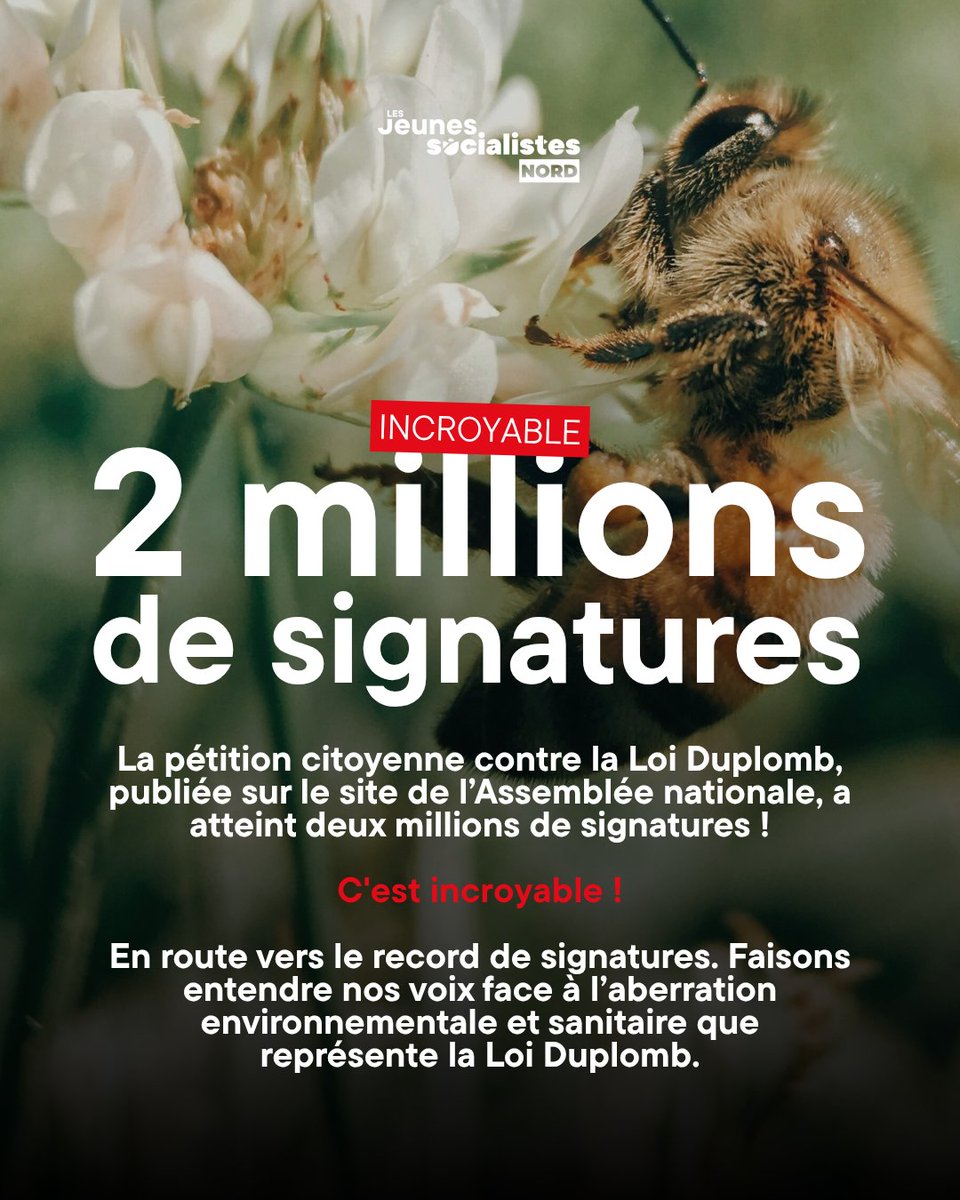 Les Jeunes Socialistes du Nord 🌹 (@jeunessocnord) on Twitter photo La pétition citoyenne contre la Loi Duplomb, publiée sur le site de l’Assemblée nationale, a atteint les deux millions de signatures !
‼️ C'est incroyable !
En route vers le record de signatures face à cette aberration environnementale et sanitaire.
➡️ petitions.assemblee-nationale.fr/initiatives/i-… La pétition citoyenne contre la Loi Duplomb, publiée sur le site de l’Assemblée nationale, a atteint les deux millions de signatures !
‼️ C'est incroyable !
En route vers le record de signatures face à cette aberration environnementale et sanitaire.
➡️ petitions.assemblee-nationale.fr/initiatives/i-…