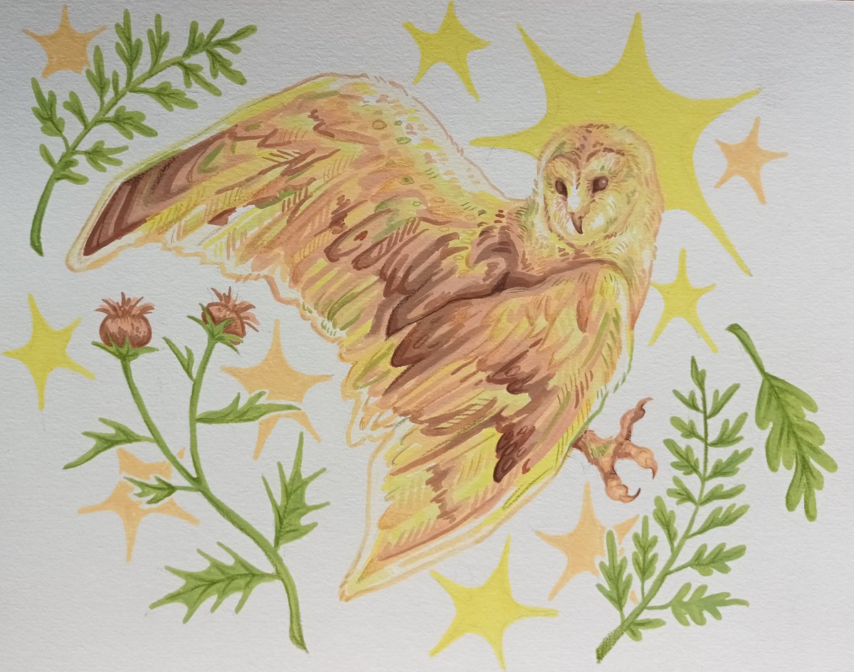 deerbraincel's tweet image. owls w acrylic markers 🦉