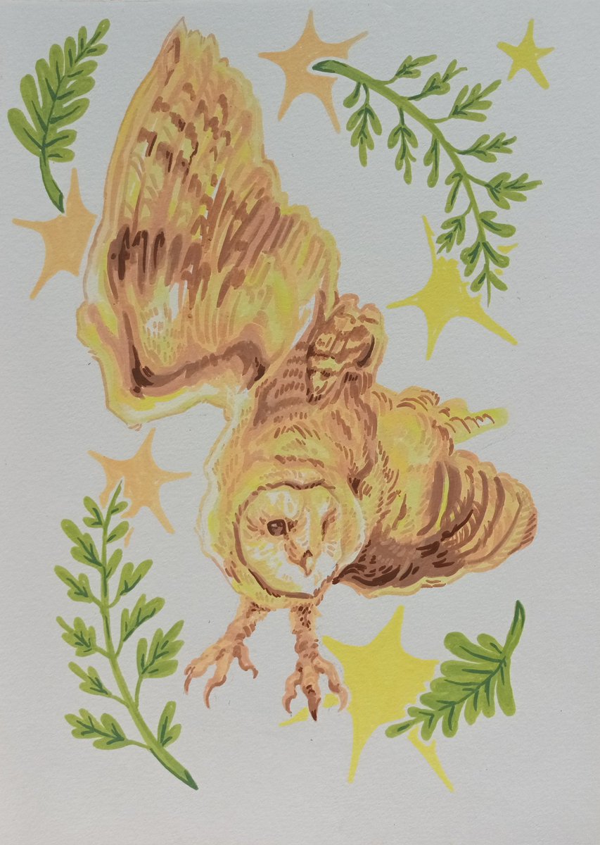deerbraincel's tweet image. owls w acrylic markers 🦉