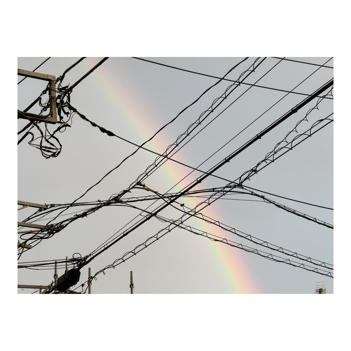 mio7007's tweet image. 