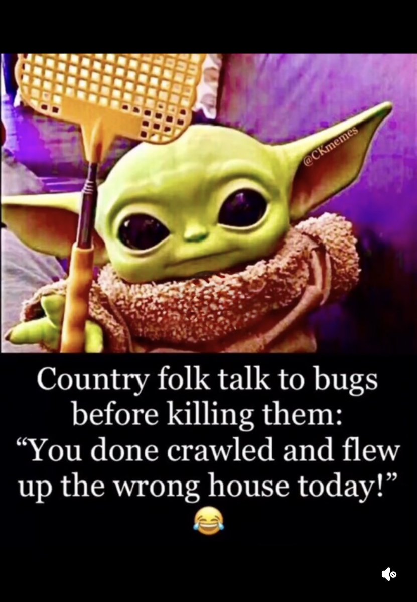 GSusie63's tweet image. 