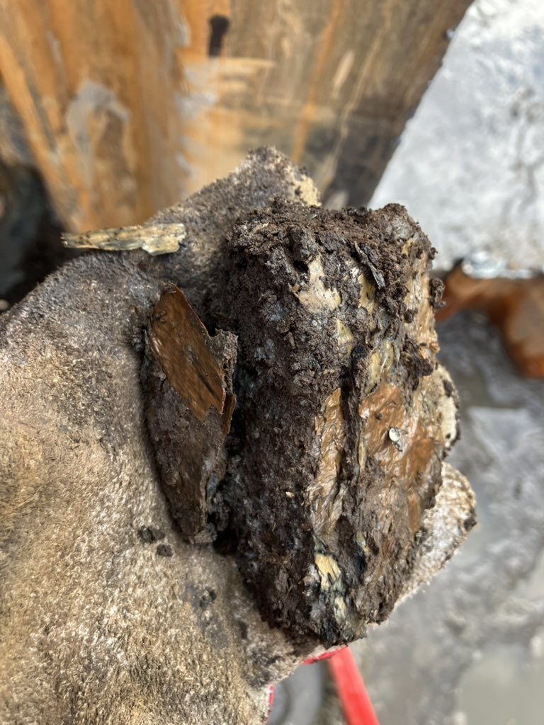 One for the geologists amongst you….. we have a layer of peat about 15ft down topped with a layer of seashells and fine gritty material buried beneath a near continuous layer of blue clay to the surface. Who can tell us what’s happening?