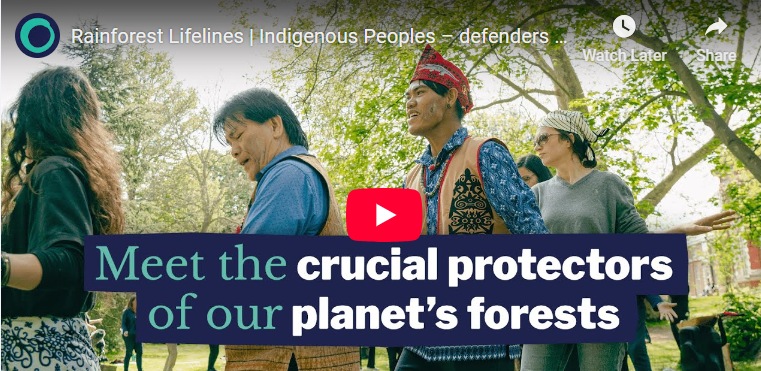 Solidarity means recognising that our struggles are interconnected. Whether it’s fighting deforestation in Borneo or calling for climate action here in the UK, the root causes remain the same

3 ways Friends of the Earth puts solidarity into action

friendsoftheearth.uk/system-change/…