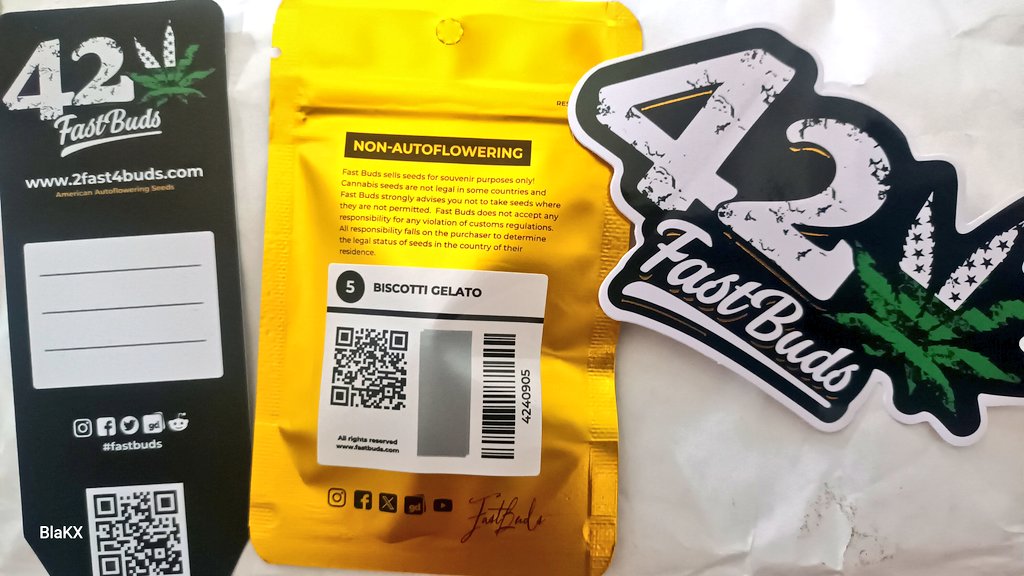 BlaKX89's tweet image. Thanks to @Fast_Buds for the Giveaway🥳🎉🎊🎆🫂💚
#BiscottiGelato