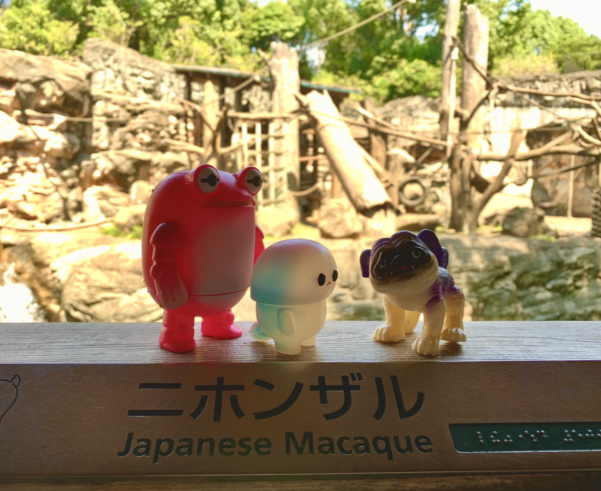 パグ獣🐶あきぱぐ🐶WF2-17-01 (@pugchaa) / X