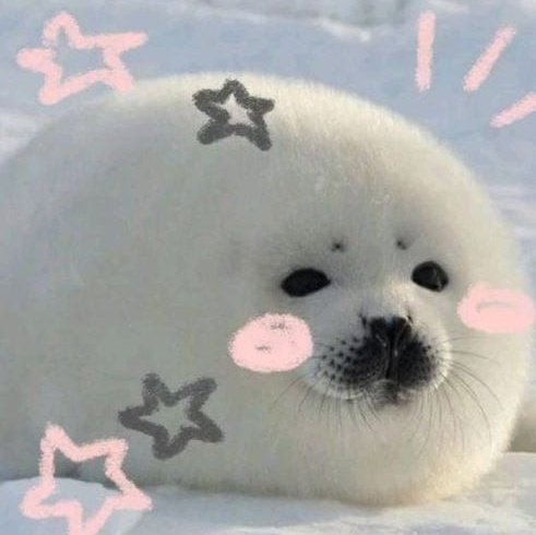 yukialtair's tweet image. good morning mooties :3