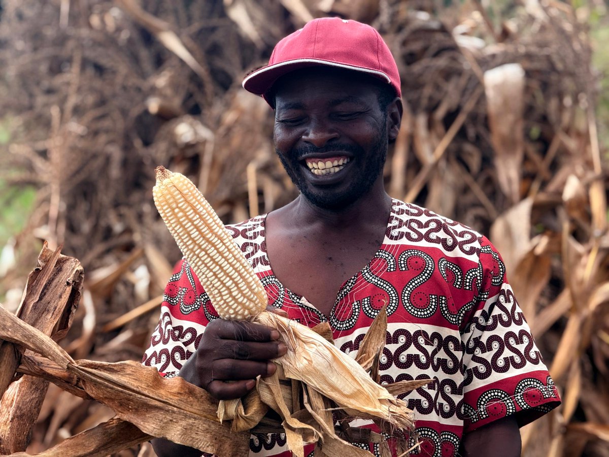 #FarmerSpotlightMonday

Meet 54-year-old Mr. Armon Mbale from Rumphi — once a traditional farmer, now a champion of organic farming using Mbeya manure.
Despite droughts, he harvested 400+ bags of maize on 8 acres! 
His secret? Knowledge + NASFAM = Power!
#OrganicFarming