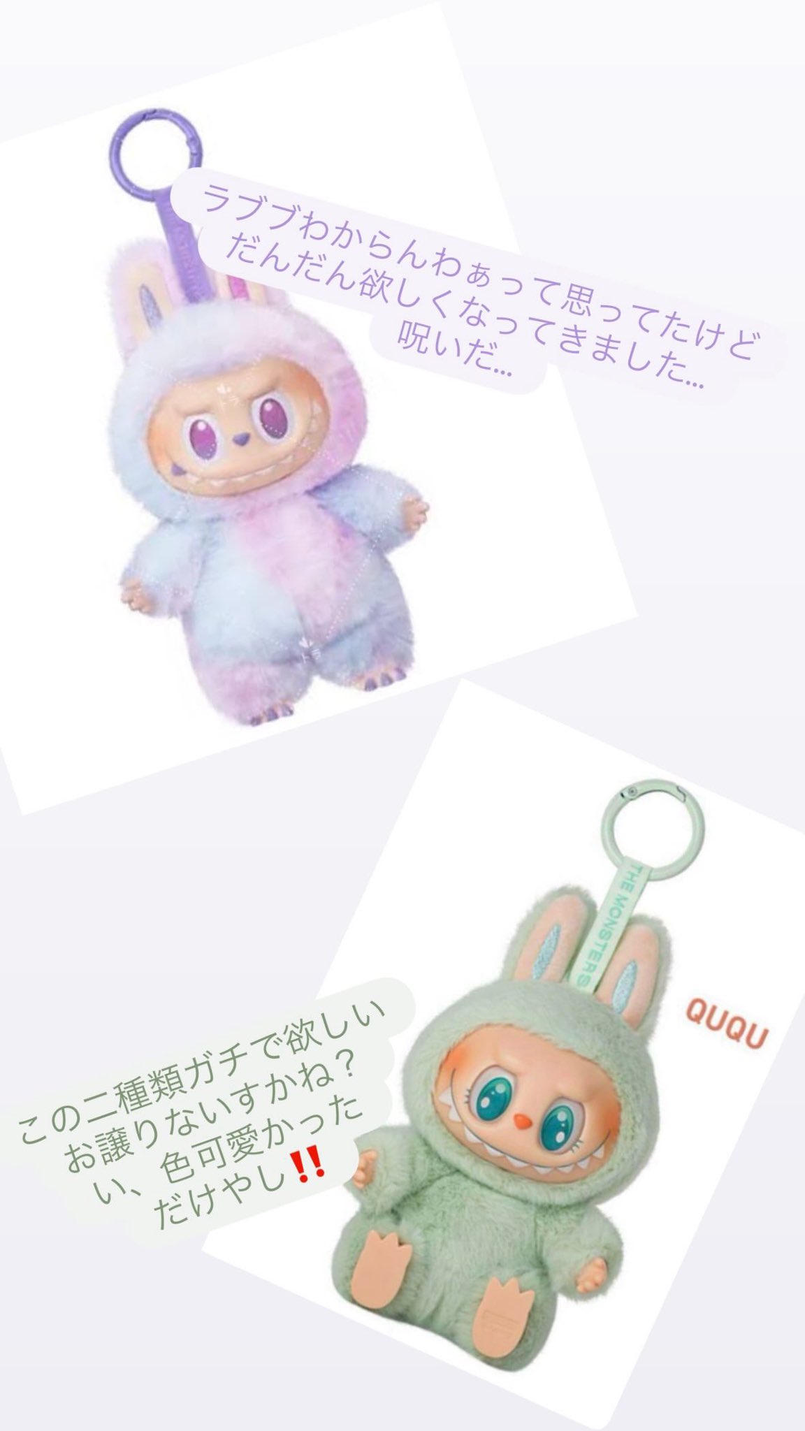 アザラシ仲良しset♡夏 なにこの可愛い生き物」すくすく育つアザラシの赤ちゃんに癒さ