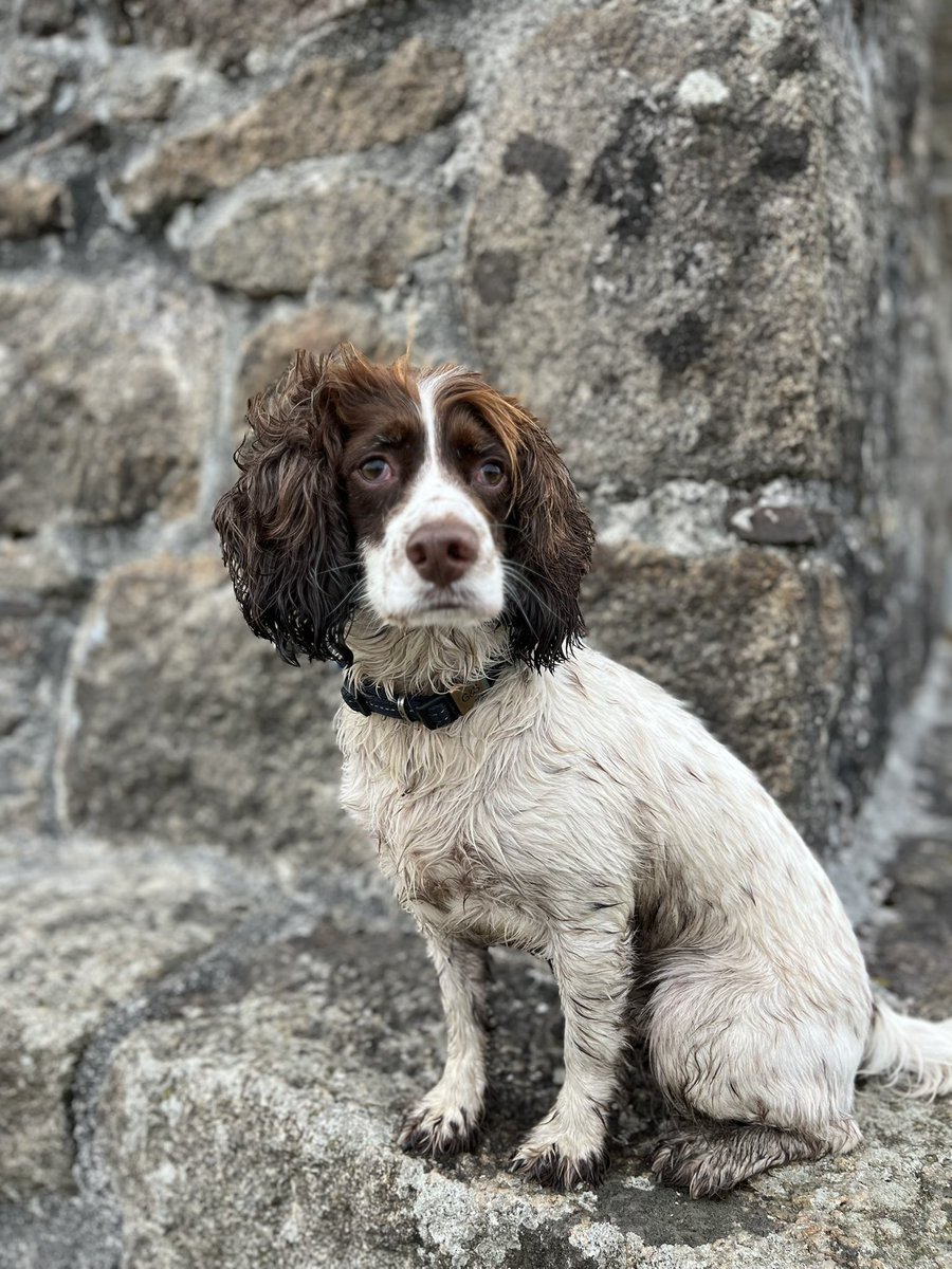 VixMackay tweet media