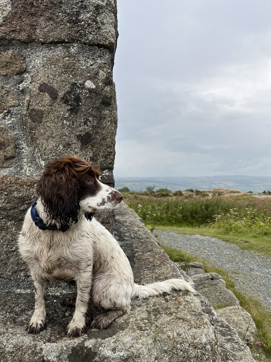 VixMackay tweet media