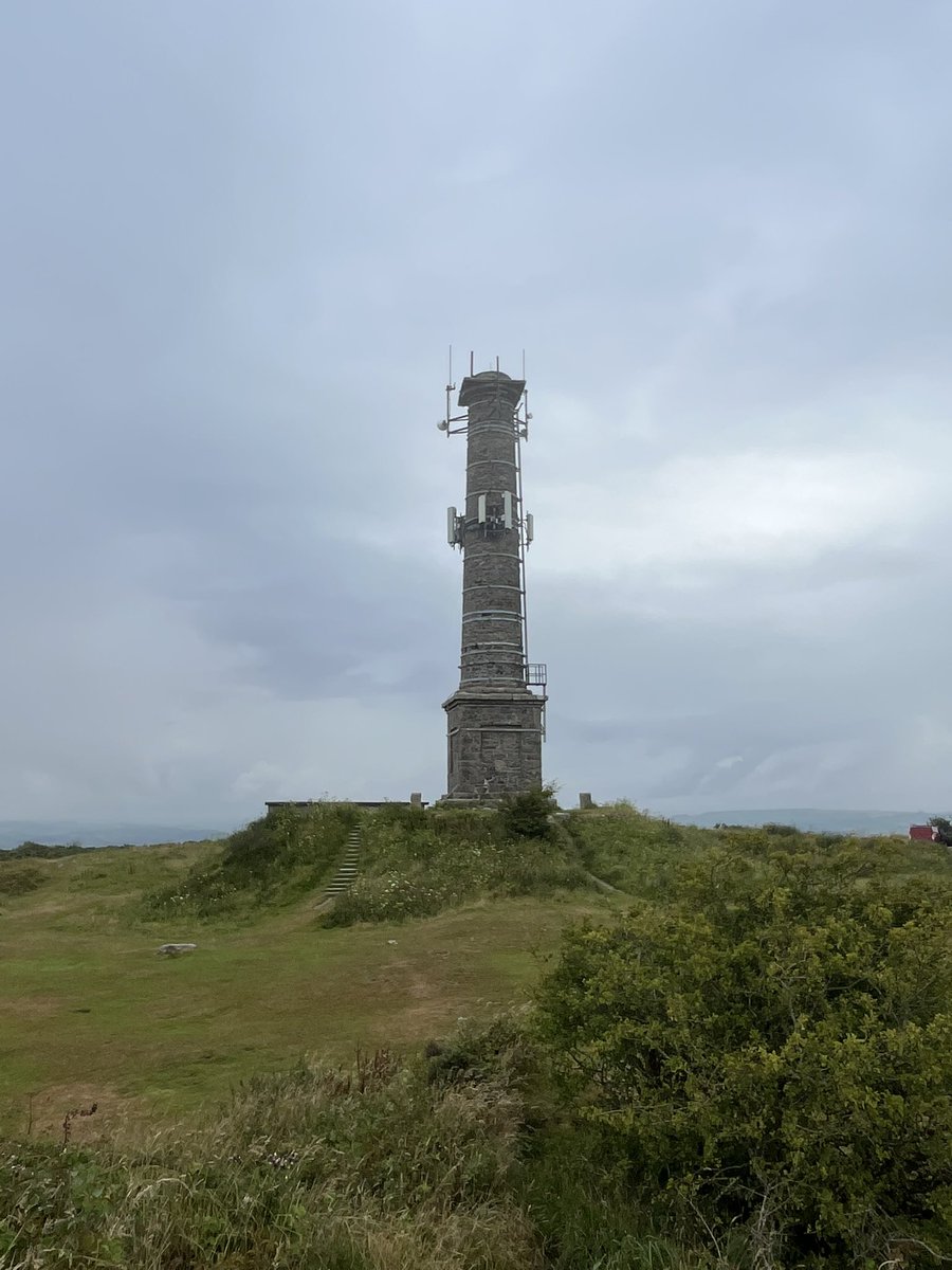 VixMackay tweet media