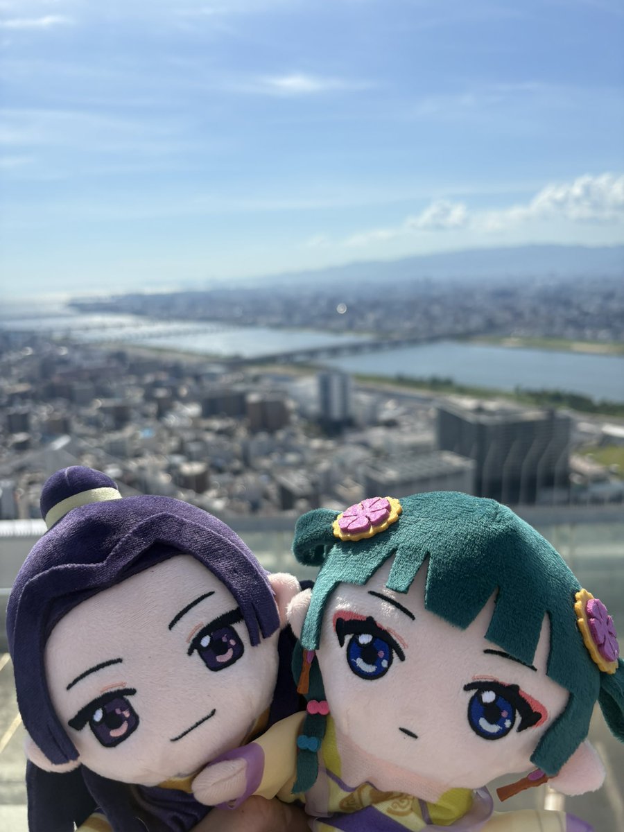 croissantchat's tweet image. 空中庭園デート💜💚