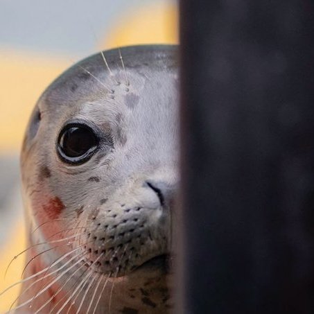 #NouvellePhotoDeProfil