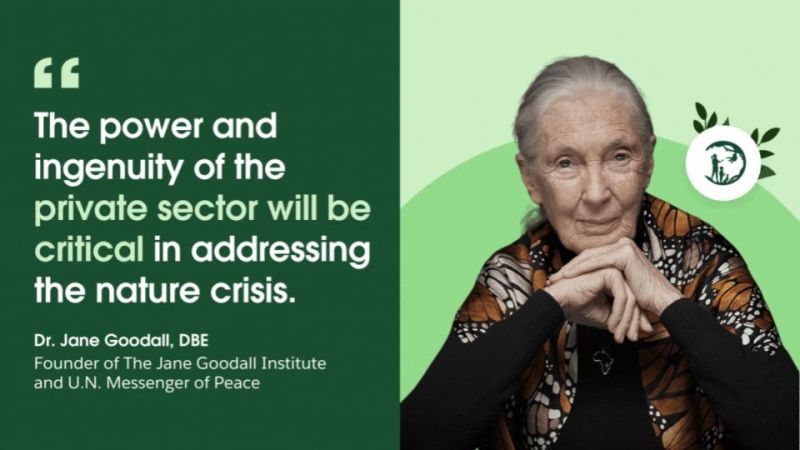 Nature is waiting. It's time to come home! 

I am deeply grateful to the amazing Jane Goodall who wrote the foreword to my new book: #GenerationRestoration. 

Pre-order your copy today: amzn.to/4kWekG7 
First 100 pre-orders receive a bonus essay!
