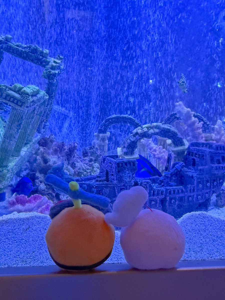 looking for Artsyblobbu…