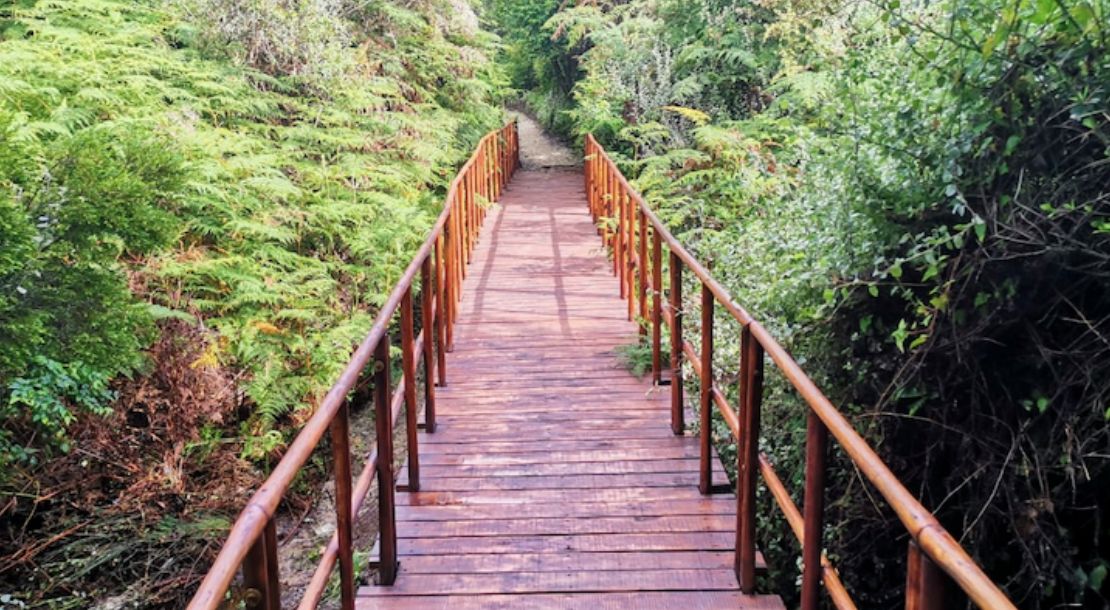 If you find yourself in George, go visit the accessible trail at the George Botanical Gardens. Learn more about The Mushroom Meander. 
buff.ly/WnbgvI6 
#GeorgeBotanicalGardens #George #TheMushroomMeander #AccessibleTrial #Inclusion