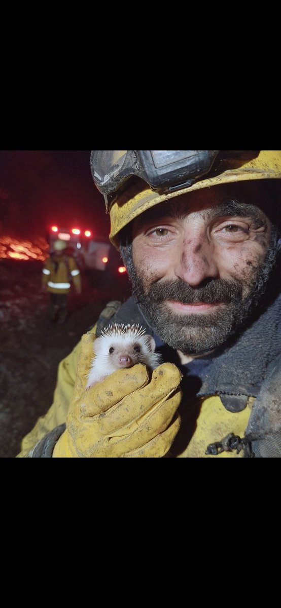 Her kim bir canı kurtarırsa bütün insanları kurtarmış gibi olur.🥺❤️‍🩹

Maide suresi 5/32. ayet