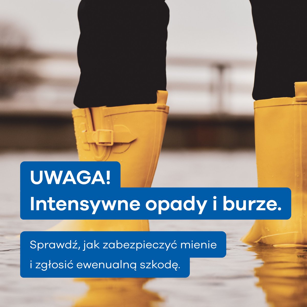 Przez Polskę przechodzą silne opady deszczu i burze ⛈️ Przypominamy, jak zadbać o swoje bezpieczeństwo, właściwie zabezpieczyć mienie, i jak zgłosić ewentualną szkodę 👉 media.uniqa.pl/informacje-pra…
Jesteśmy w pełni gotowi, by Cię wesprzeć.
#UNIQA #AlertyPogodowe