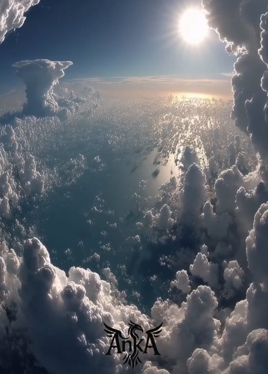 Düşünsene, 
Kanadında kendi dünyanı taşıyorsun.
Öyle minnetsiz, öyle hür.