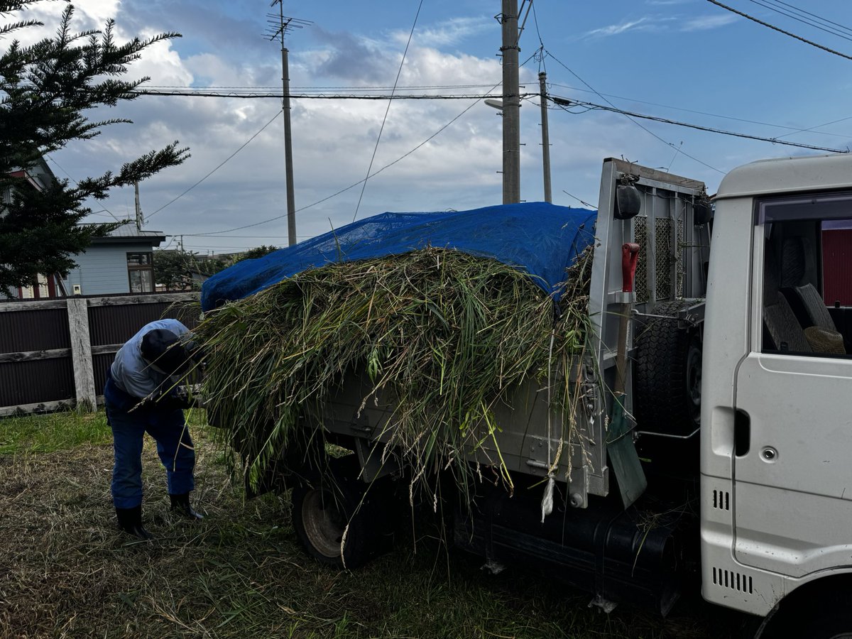 新居の庭、広すぎて大草原(物理)なのでトラックにこの量積んで3往復してました。痩せてまうべさ。マジでテント8張りくらいは余裕なので落ち着いたら遊びに来てね！
今日は山盛り飯4杯食うぞぉ。