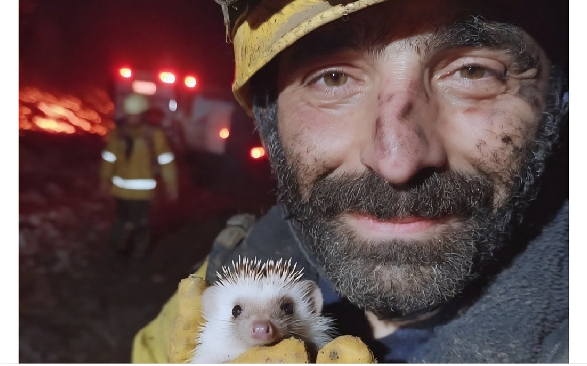 Her kim bir canı kurtarırsa bütün insanları kurtarmış gibi olur.🥺❤️‍🩹