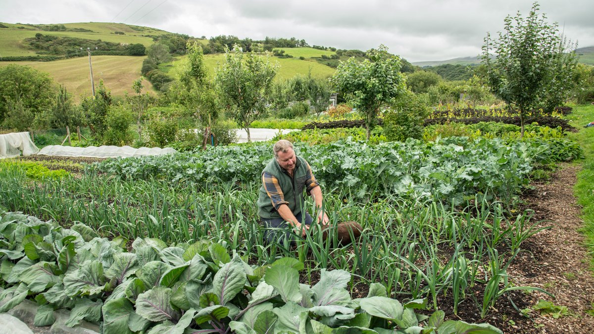 On the 18th of September, the #LUNZHub will host a #BigTent event, exploring relations with land use change in Wales.  

When: 18th September 2025  
Where: Venue Cymru, Llandudno, LL30 1BB  

Click here to read more and register: bit.ly/404iJ2s

#LUNZ #LandUse