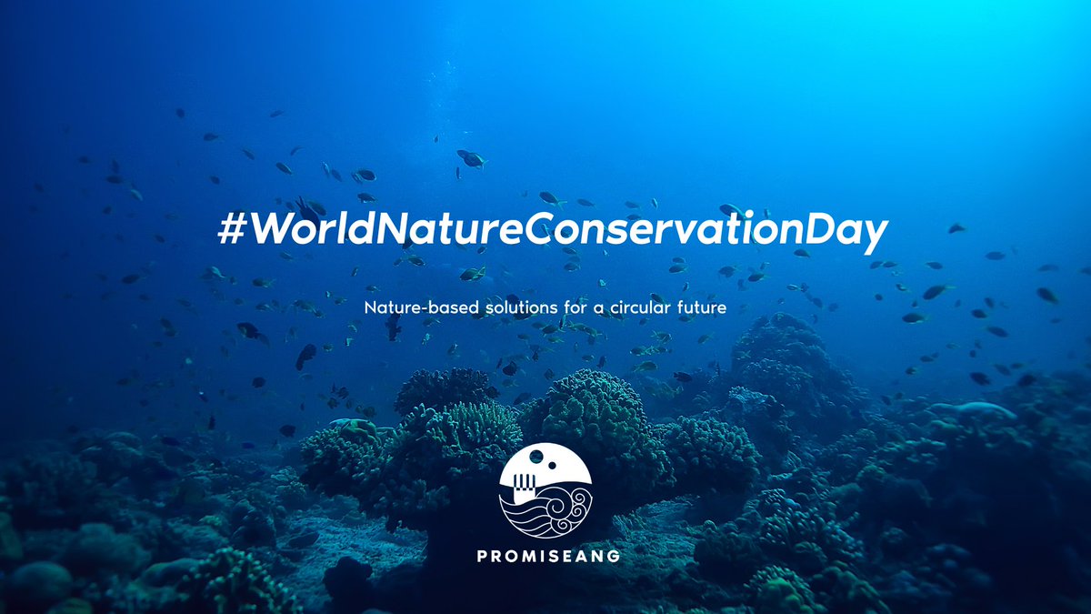 Promiseang Project tweet media