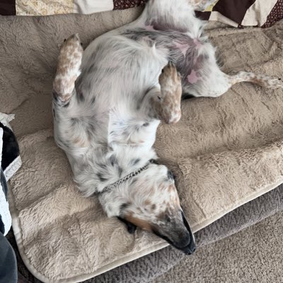 ︻┳═一 ᵏᶻᵘˡᵖᵘⁿᵏ.ᵉᵗʰ ︻┳═一 tweet media