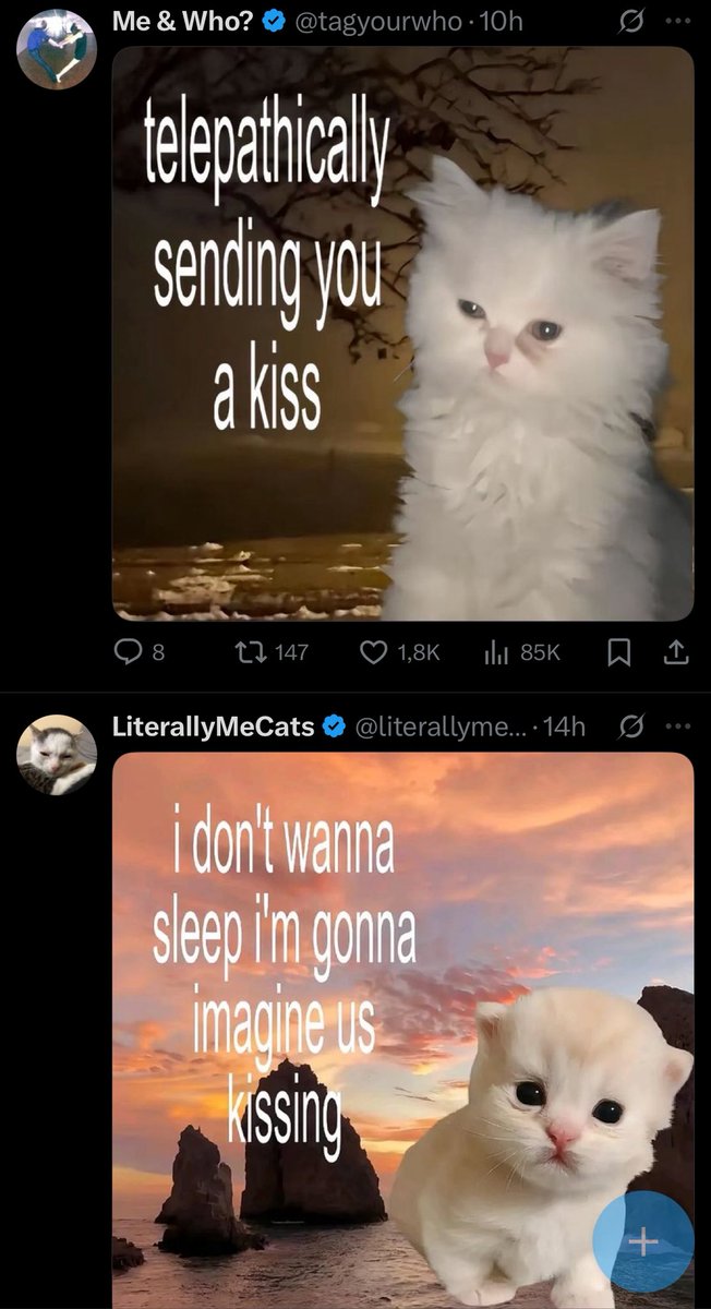 yunosdor's tweet image. my tl knows im a cat who wants to kiss and to be kissed