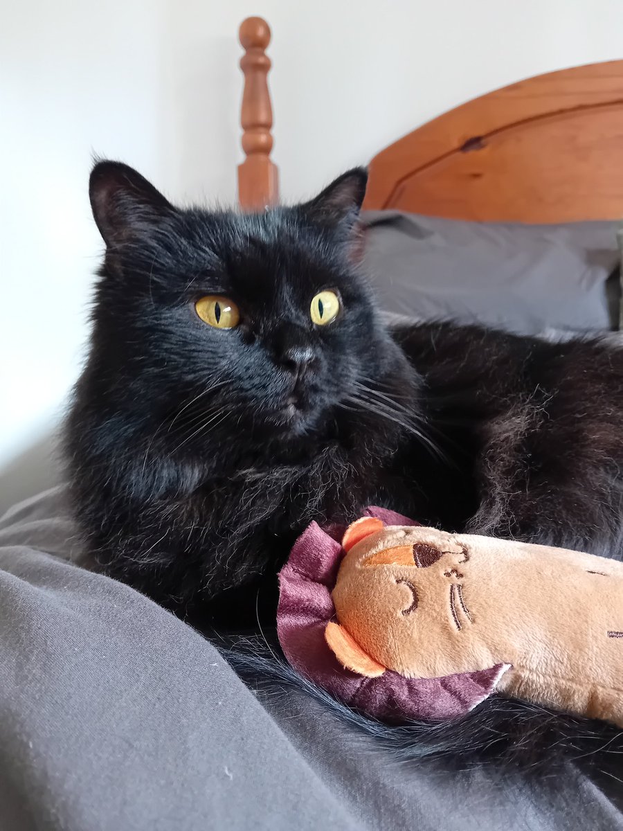 Happy Birthday to me, Happy Birthday to me, Happy Birthday, dear meeeeee. Happy Birthday to me!!