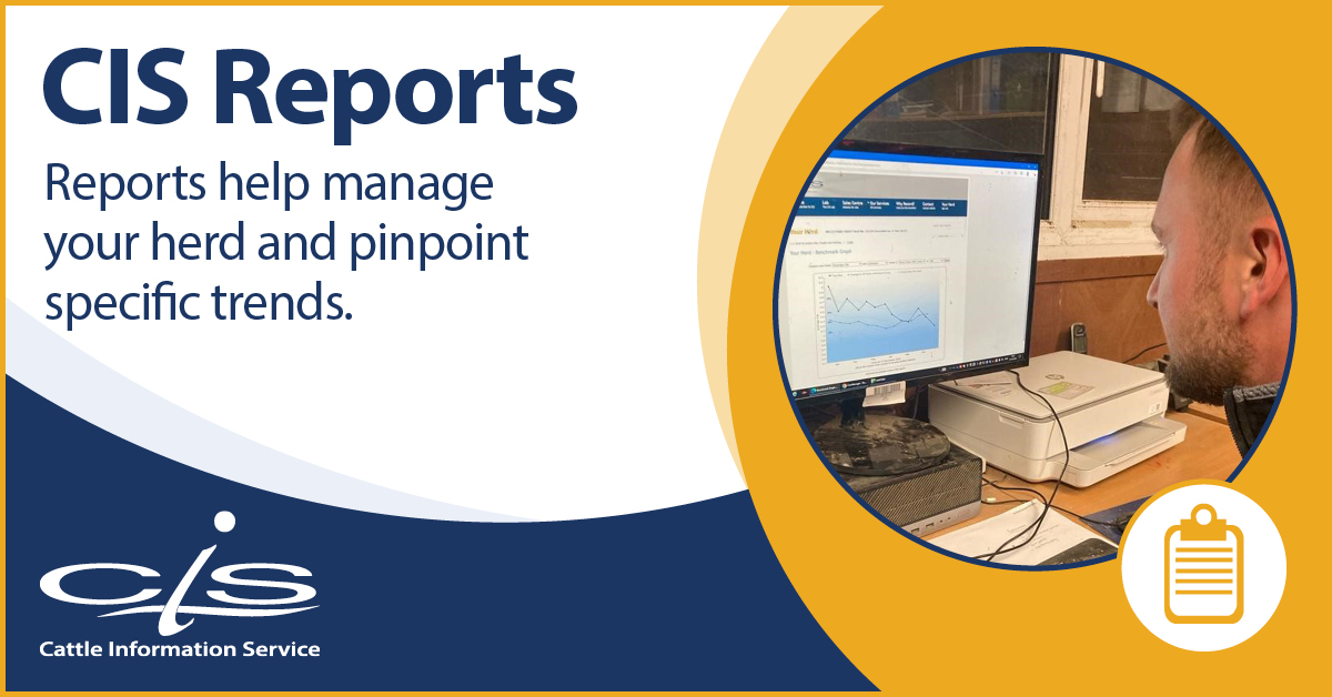 Milk recording customers have access to a wide range of herd management reports through YourHerd, designed to highlight key trends and support informed decision-making. Reports are available in digital and print formats to suit all.

.📈💻📋

thecis.co.uk/cis-reports