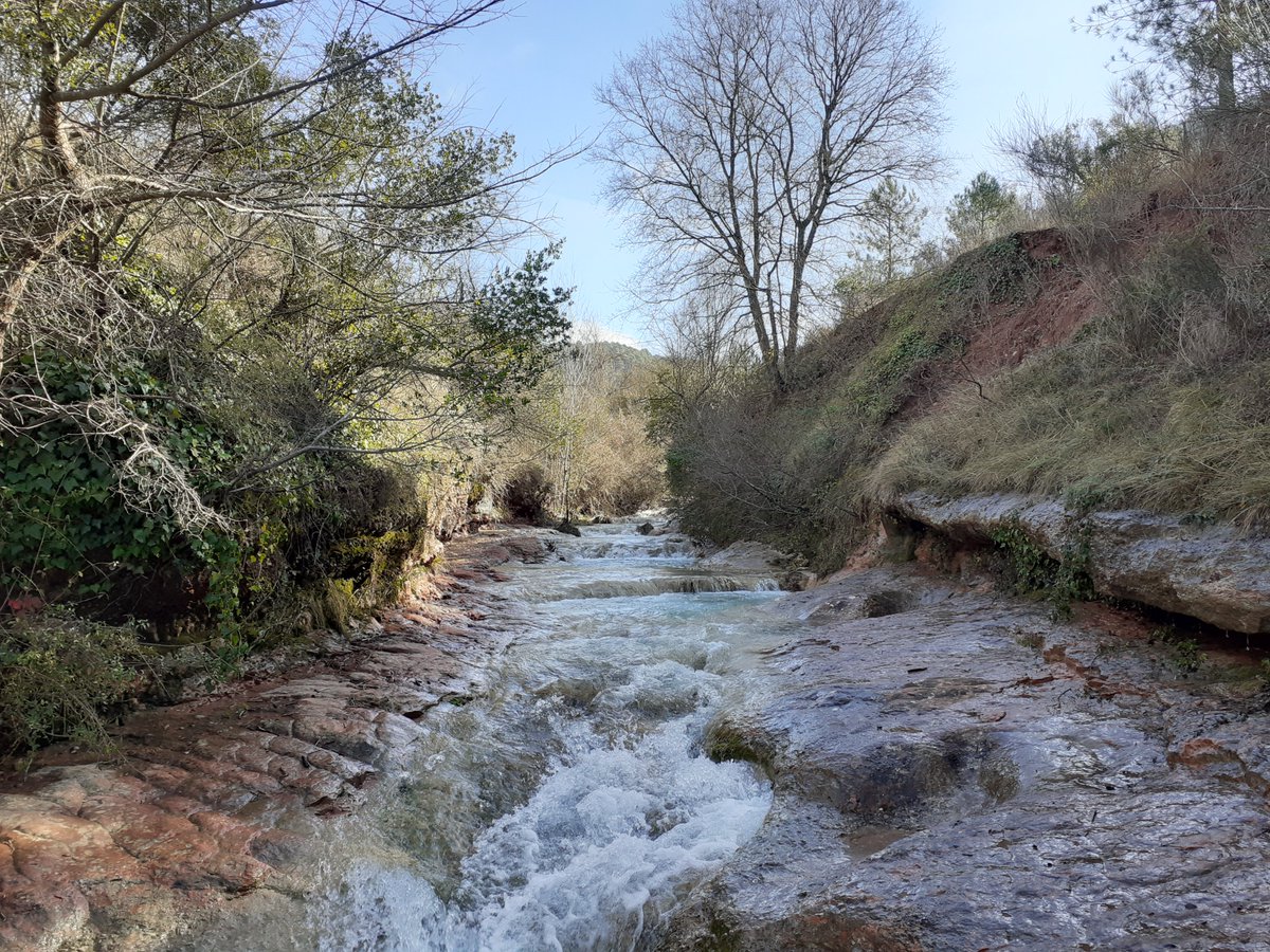 xarxadeparcs's tweet image. 💧L'estudi hidrogeològic del Parc Natural de Sant Llorenç del Munt i l’Obac revela que la capacitat de retenció d’aigua de pluja està condicionada per la geologia i el canvi climàtic
✅ parcs.diba.cat/ca/web/l-infor…