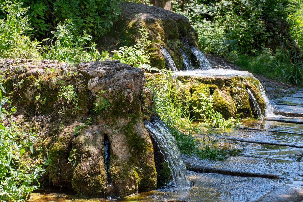 xarxadeparcs's tweet image. 💧L'estudi hidrogeològic del Parc Natural de Sant Llorenç del Munt i l’Obac revela que la capacitat de retenció d’aigua de pluja està condicionada per la geologia i el canvi climàtic
✅ parcs.diba.cat/ca/web/l-infor…