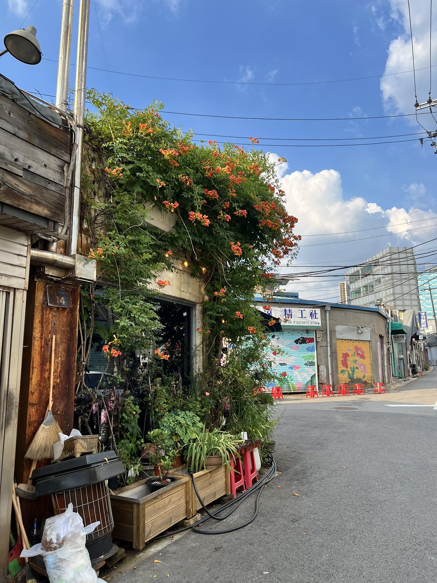 BonnyieLee's tweet image. Photos taken around Mullae-dong, Seoul — an area filled with old industrial buildings. A great place to study rusty surfaces and weathered materials. #seoul #texturereference