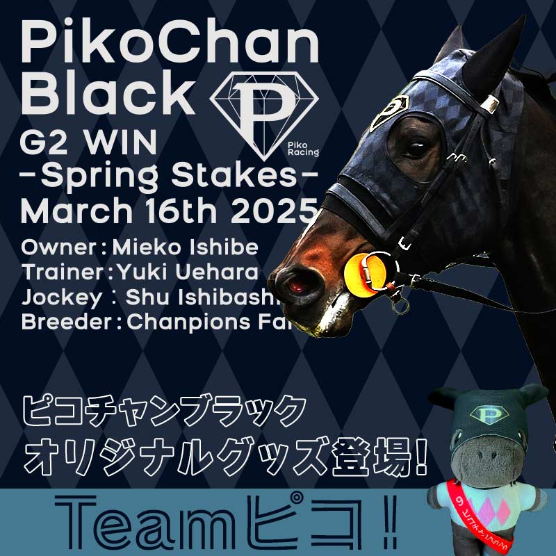 netkeibashop's tweet image. 新作グッズ紹介📢
#ピコチャンブラック のオリジナルグッズが販売スタート!
勝負服を着たかわいいぬいぐるみや、メンコと同じ黒ダイヤモンド柄のジャージなどをご用意!
ぜひグッズと一緒にピコチャンブラックの応援に競馬場へお出かけください!
shop.netkeiba.com/?utm_source=tw…