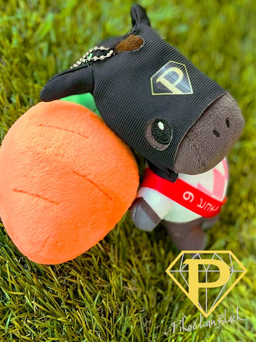 netkeibashop's tweet image. 新作グッズ紹介📢
#ピコチャンブラック のオリジナルグッズが販売スタート!
勝負服を着たかわいいぬいぐるみや、メンコと同じ黒ダイヤモンド柄のジャージなどをご用意!
ぜひグッズと一緒にピコチャンブラックの応援に競馬場へお出かけください!
shop.netkeiba.com/?utm_source=tw…