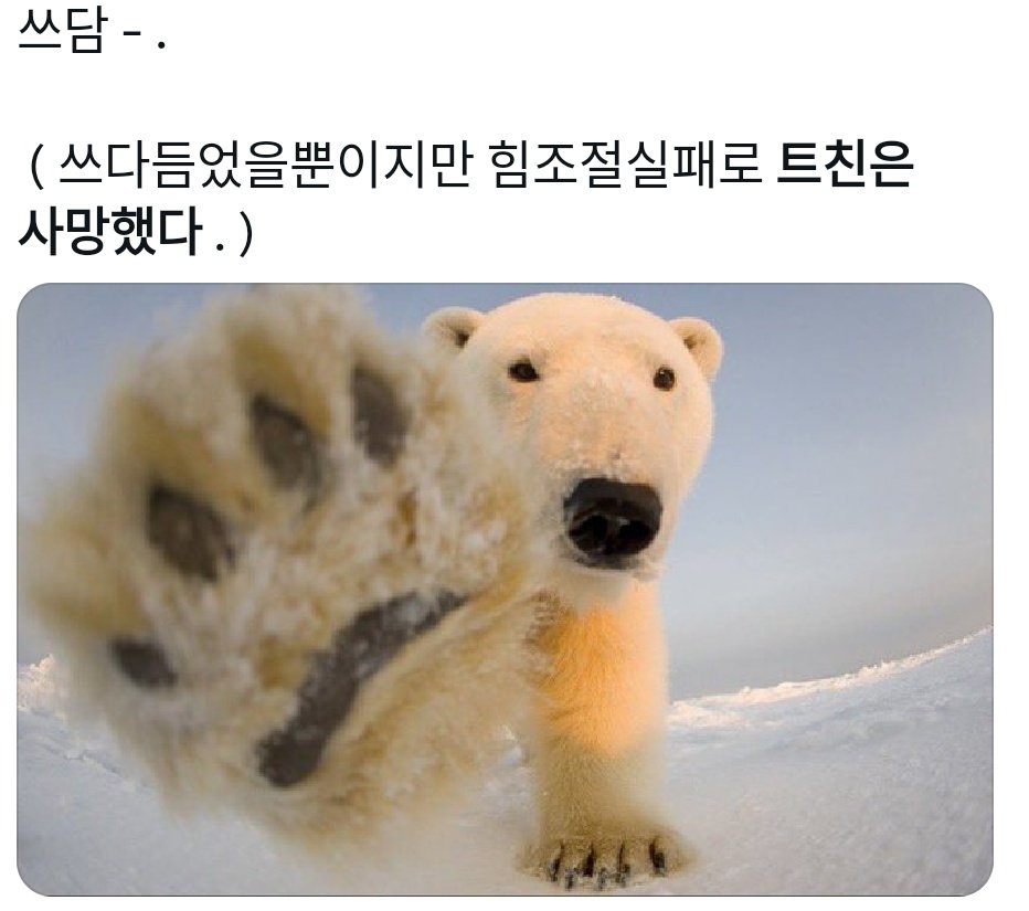 TamLam_N's tweet image. 