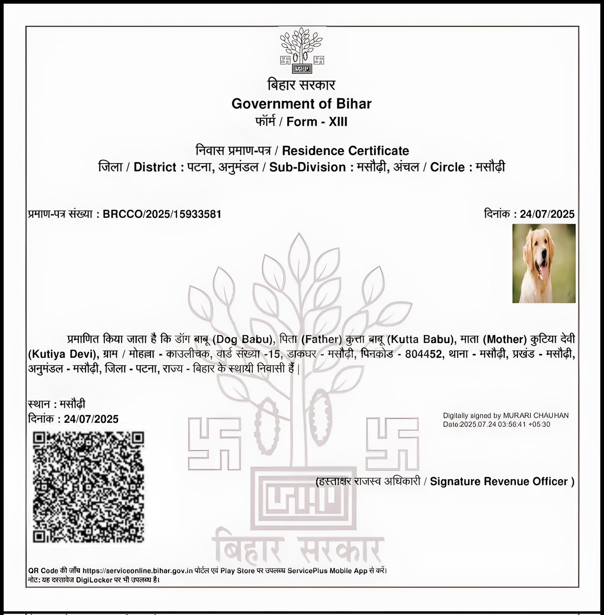 JAMMULINKS's tweet image. नाम डॉग बाबू, पिता कुत्ता बाबू और मां कुटिया देवी... पटना में कुत्ते का बना दिया आवासीय प्रमाण पत्र