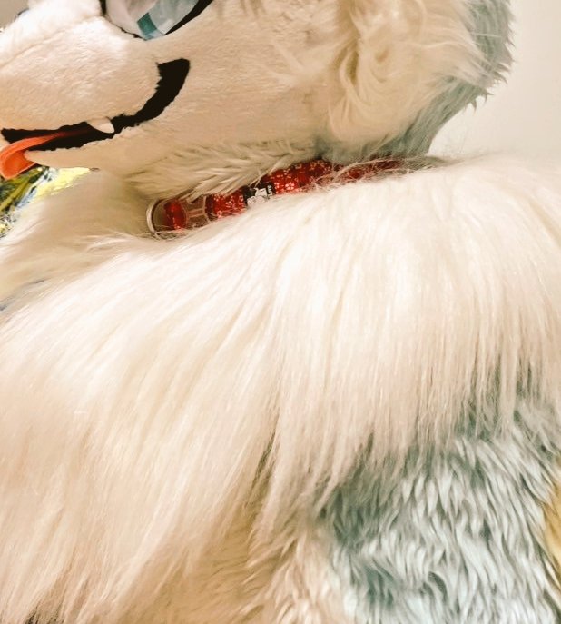ice_chemit's tweet image. ぼ、ボクの首輪とか首周りに需要があるらしいので………꒰*´꒳`*꒱💦