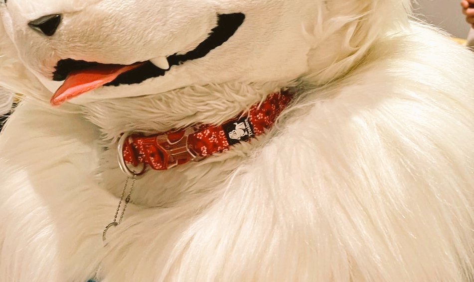 ice_chemit's tweet image. ぼ、ボクの首輪とか首周りに需要があるらしいので………꒰*´꒳`*꒱💦