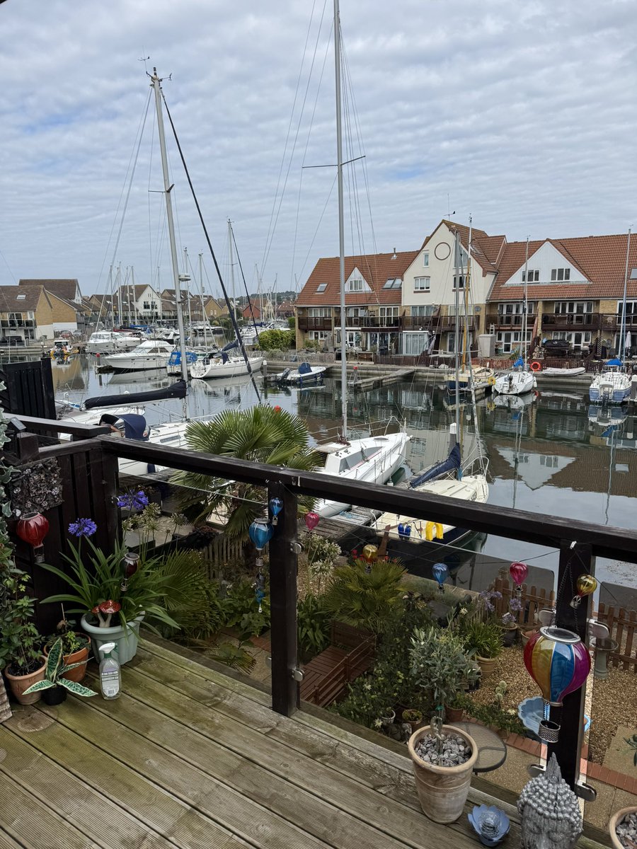 FutureGhost_Boo's tweet image. My current work view.