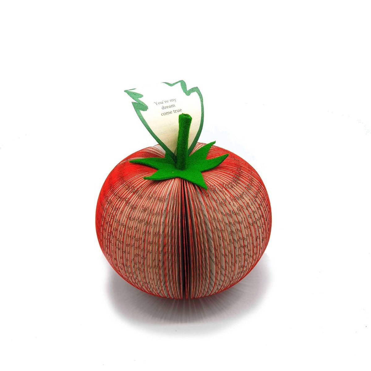 Paperappleco's tweet image. Tomato Book Gift creatoncrafts.com/products/beef-… #CreatonCrafts #mhhsbd #MyNewTag #Shopify #Handmade