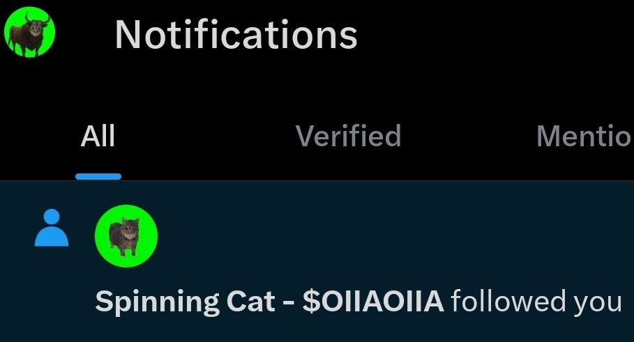 TinkiSpinki's tweet image. This cat now follows me 👀

Oiiaoiia