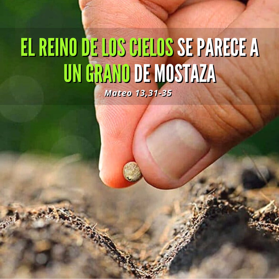 Diego H Guerrero (@diego_hguerrero) on Twitter photo 