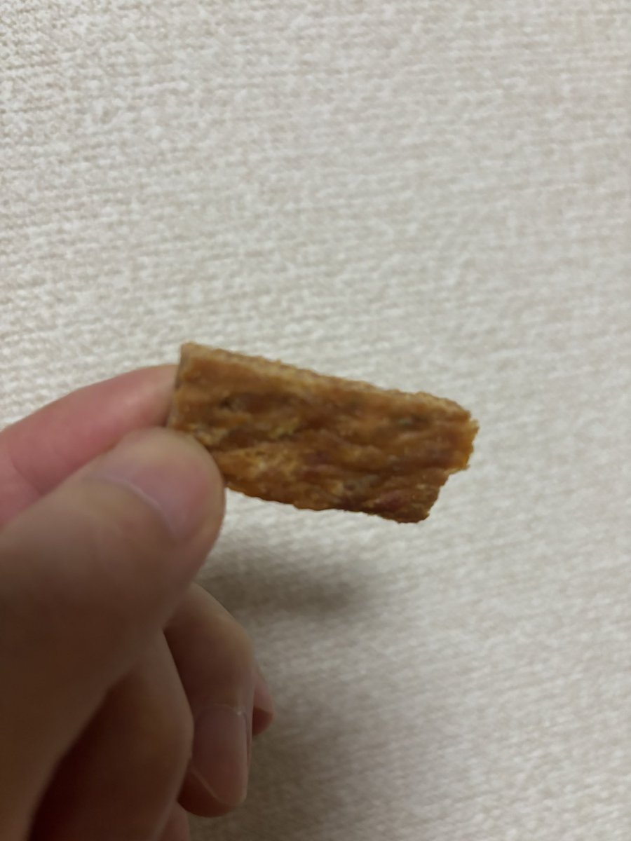 コストコでワニジャーキー買った٩( ᐛ )و お味は……